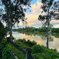 Lone Pine Koala Sanctuary – Brisbane, QLD