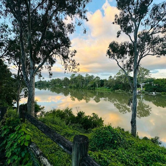 Lone Pine Koala Sanctuary – Brisbane, QLD