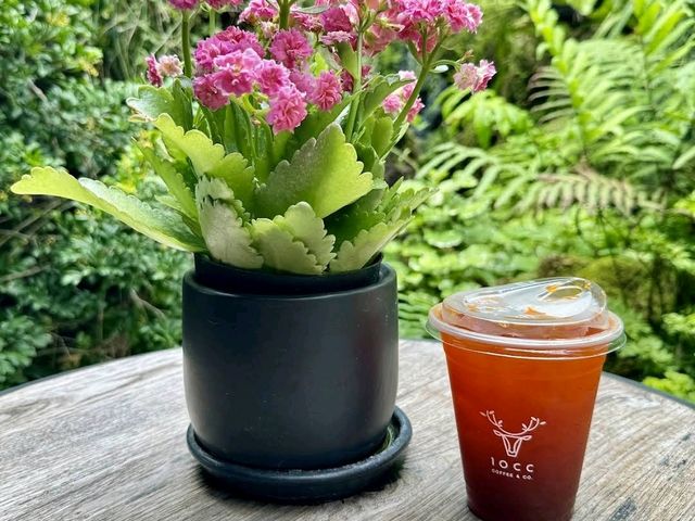 10cc Coffee and Co คาเฟ่เมืองทอง ปากเกร็ด
