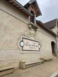 Burgundy for Wine Lovers: A Journey Through France’s Most Precious Vineyards