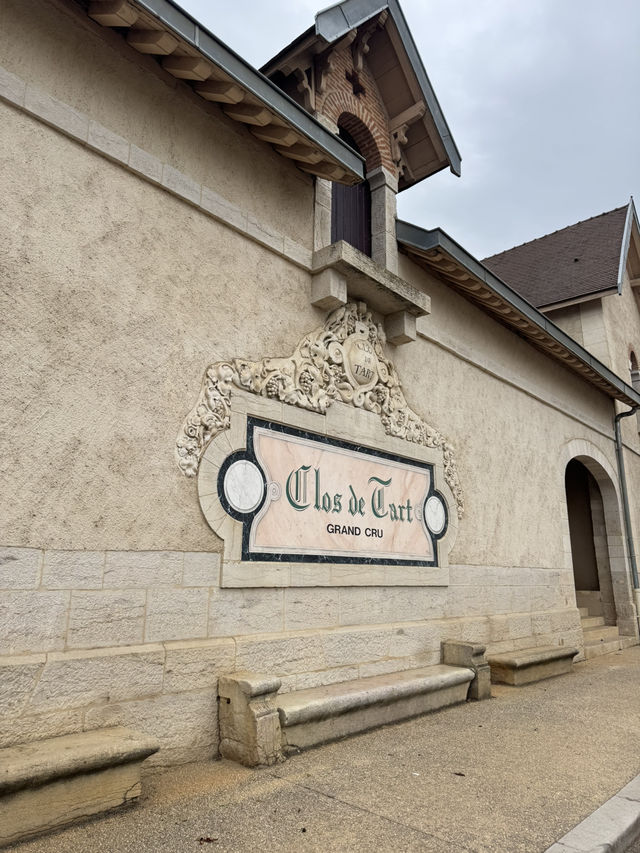 Burgundy for Wine Lovers: A Journey Through France’s Most Precious Vineyards