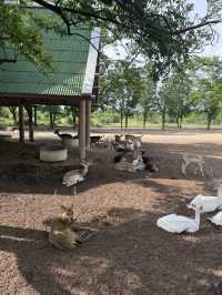 北碧府野生動物園