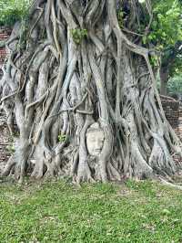【古都を巡る】～アユタヤで寺院を巡る～