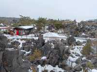 3月日本自由行 景点篇 鬼押出火山岩石公園