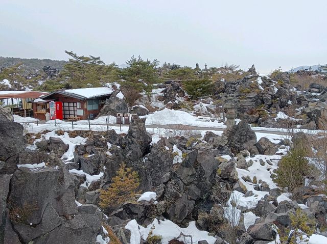 3月日本自由行 景点篇 鬼押出火山岩石公園