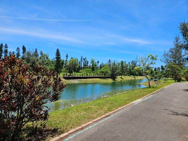 恍如仙境的台東森林公園琵琶湖