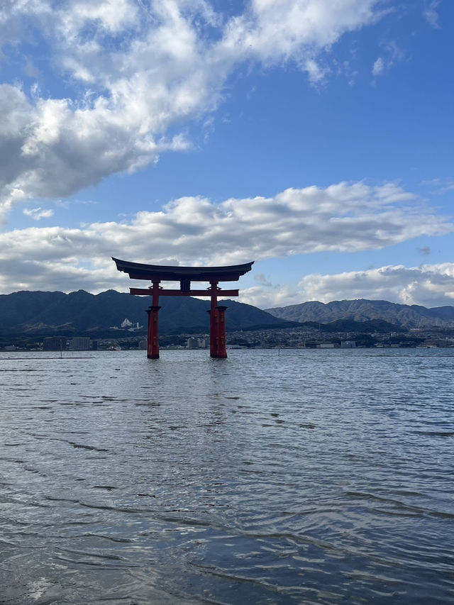 ⛩️【広島・宮島】神々と自然が宿る神秘の島で、心ほどけるひとときを🌿🌊