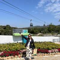 Hong Kong 8 Days Travel Guide 