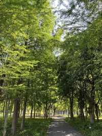 A Wetland Oasis by the River – Houtan Park, Shanghai