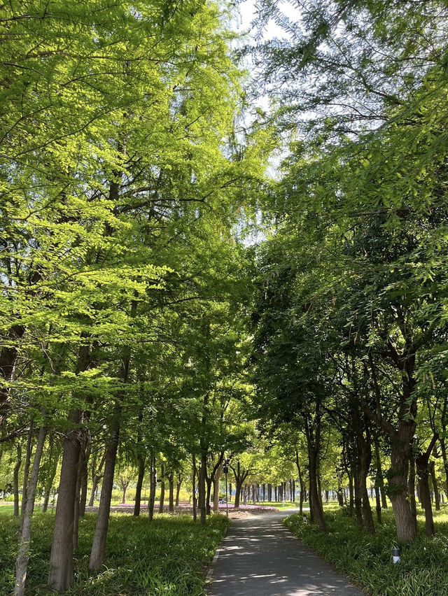 A Wetland Oasis by the River – Houtan Park, Shanghai