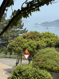 살면서 한번쯤은 꼭 가 봐야 하는 섬 흑산도🏝️