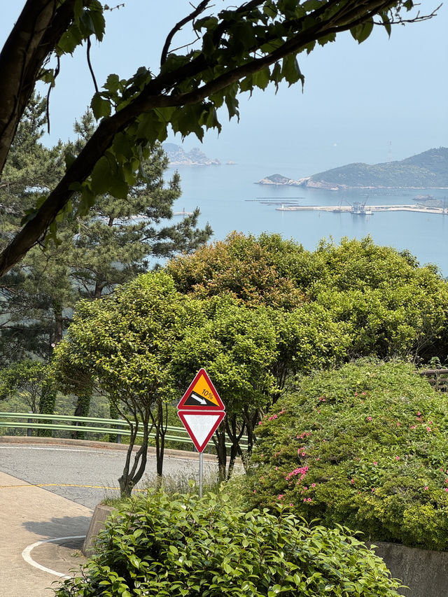 살면서 한번쯤은 꼭 가 봐야 하는 섬 흑산도🏝️