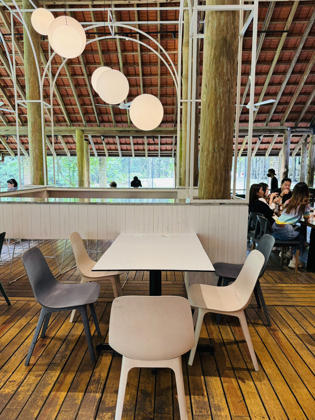 Forest Canopy Café with a Side of Croissant 