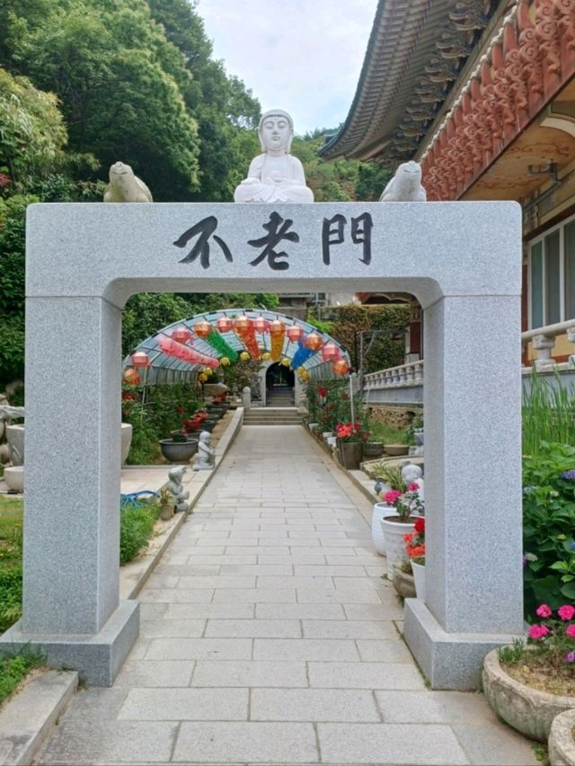 고즈넉한 하루를 시작하는 힐링 여행 🌿