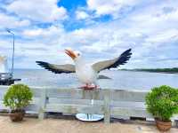 冬だけの特別な風景。自然と鳥たちに癒されました🌅✨ #バンプー #カモメ #タイ旅行