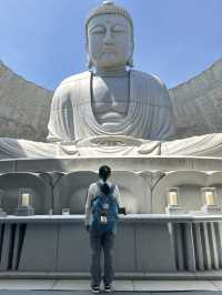 Sapporo … Hill of Buddha & Takino suzuran 