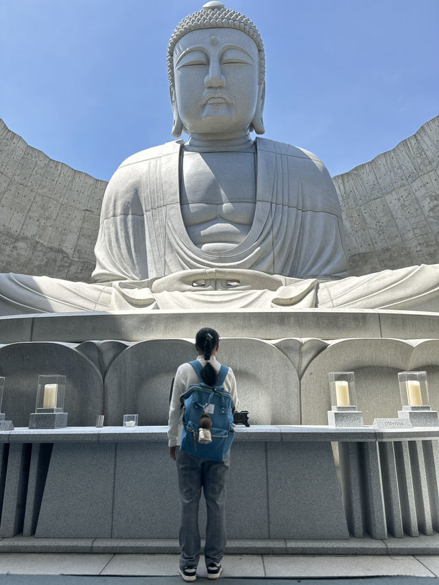 Sapporo … Hill of Buddha & Takino suzuran 