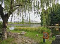 Century Park