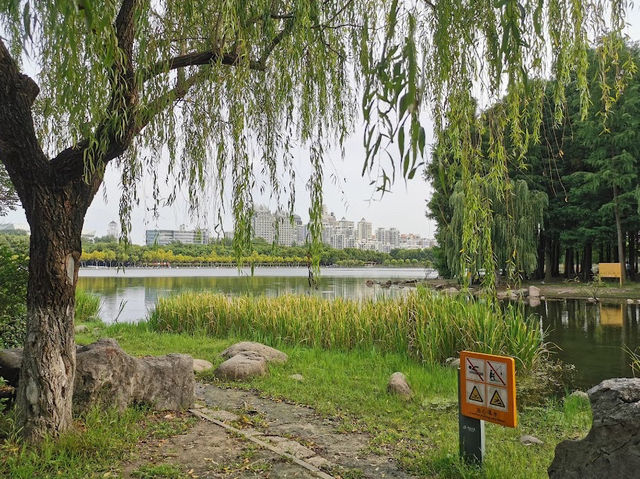 Century Park