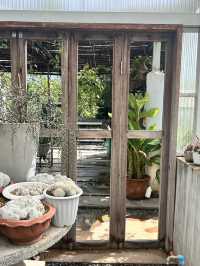 คาเฟ่ Hygge Backyard มวกเหล็ก สระบุรี 🌿📸