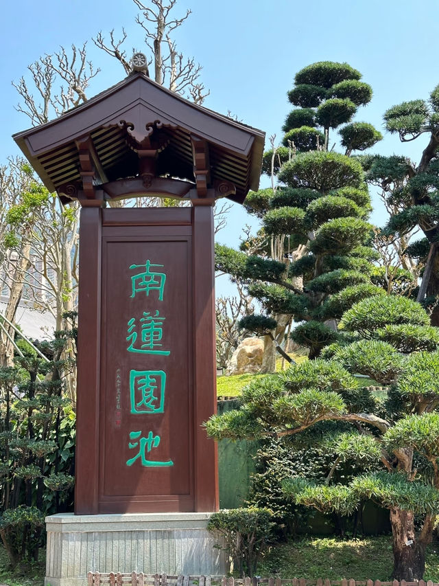 Nan Lian Garden (南蓮園池), Hong Kong