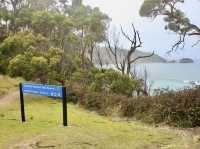 Where Earth carves its own art — Tessellated Pavement, Tasmania