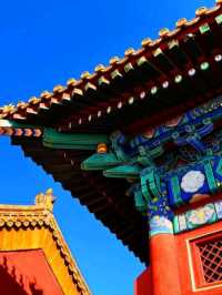 🚢🌏 Magical Journey on China’s Mighty River! | Yangtze Cruise Adventure 🌄🇨🇳