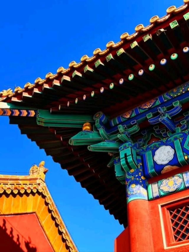 🚢🌏 Magical Journey on China’s Mighty River! | Yangtze Cruise Adventure 🌄🇨🇳