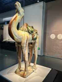 🏛️ Sichuan Museum – Cool Shelter with a Side of Three Kingdoms History