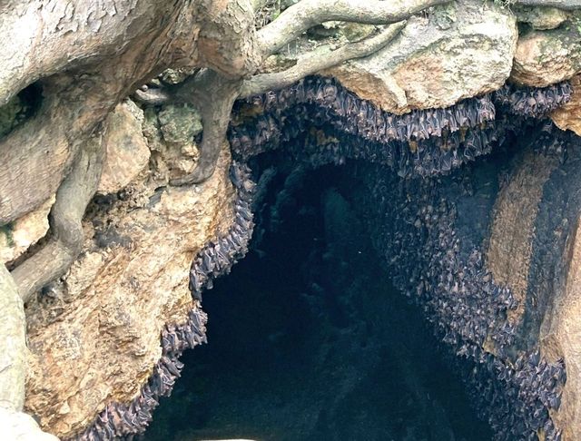 Exploring the Enchanting Beauty of Samal Island, Davao