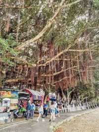 🌞🚢 Summer Day Trip: Bali & Tamsui Itinerary