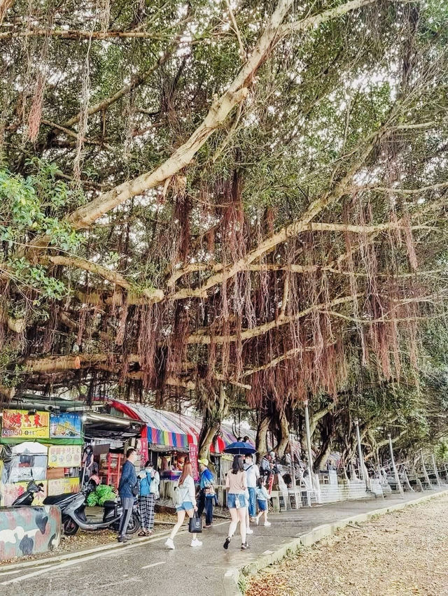 🌞🚢 Summer Day Trip: Bali & Tamsui Itinerary