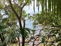 Where rainforest meets the sea: unwinding at Damai Beach, Sarawak