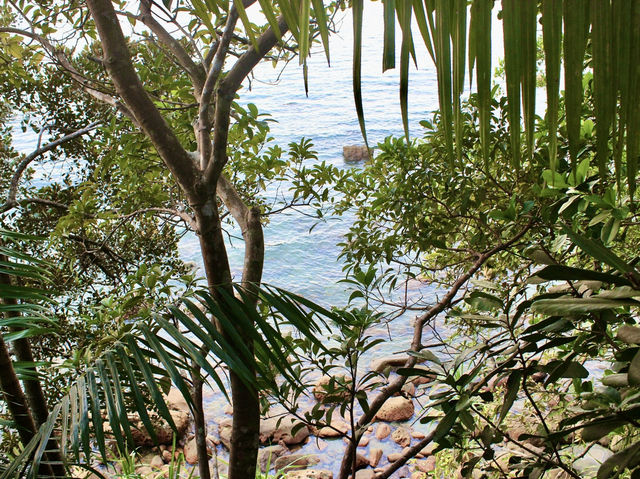 Where rainforest meets the sea: unwinding at Damai Beach, Sarawak