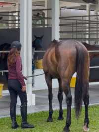 Just Horsin’ Around… at Equestrian Park Putrajaya