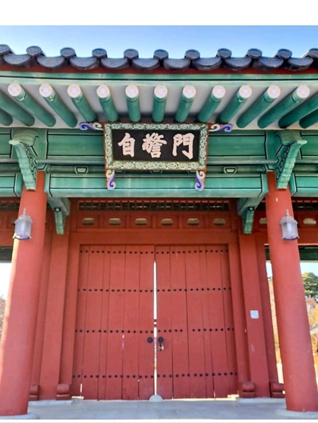  600년 넘은배롱나무가 살고있는💚 오죽헌