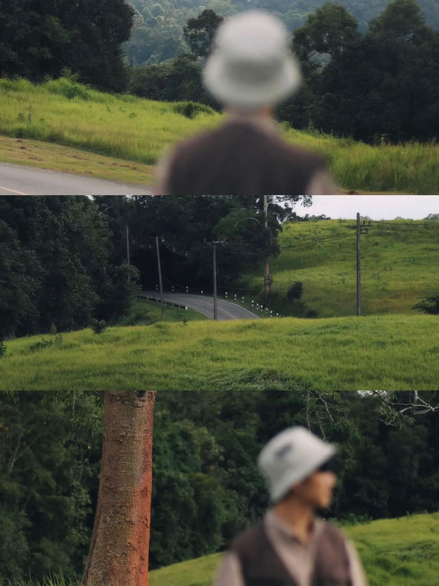 เขาใหญ่ในช่วงหน้าฝน เขียวมากกกก 💚🍃..............