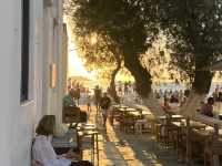 My Top 5-Star Hotel Recommendation: Croco Mykonos 🏨