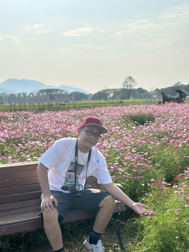 2 Days in Khao Yai: Wine, Flowers & Hidden Gems – My Private Tour Experience from Bangkok 🍷🌻