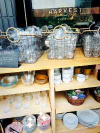 【神奈川県/鎌倉　色鮮やかなおしゃれな食器が並ぶshop🍽️】