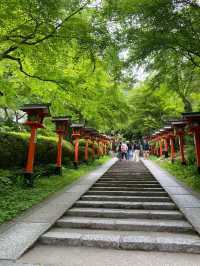 Kyoto and World Expo Osaka 