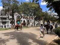 【Parque Simón Bolívar｜スクレの憩いと歴史が交差する都会のオアシス】