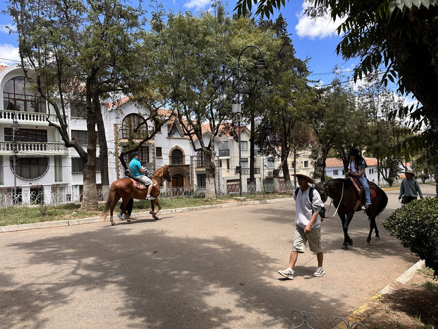 【Parque Simón Bolívar｜スクレの憩いと歴史が交差する都会のオアシス】