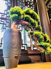 Time-honored Bonsai collection at the Bonsai Garden