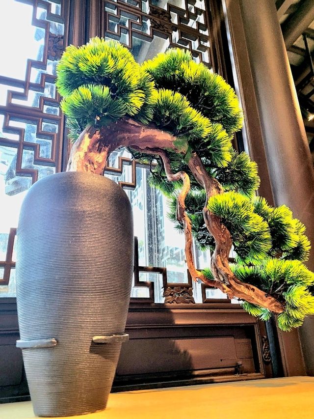 Time-honored Bonsai collection at the Bonsai Garden