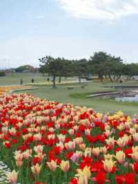 【自然と遊ぶ一日🌼】海の中道海浜公園でアクティブ＆癒しの休日を 