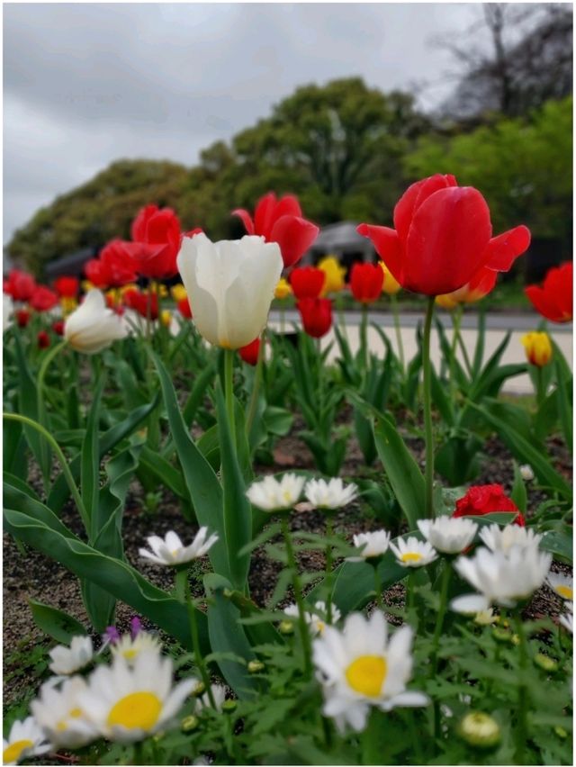 Spring @ Fukuoka 
