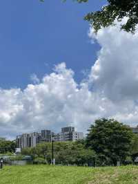 ｜台中｜北屯新都生態公園-城市綠洲