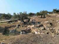 Epidaurus Theater