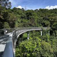  Harmony Bridge: Xiamen’s Skywalk Where Nature & Modern Design Embrace!